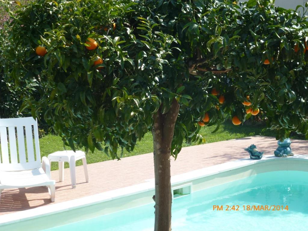 Casal Da Corticada Pension Sertã Buitenkant foto